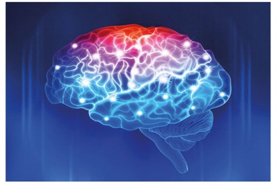 изображение взято из открытых источников